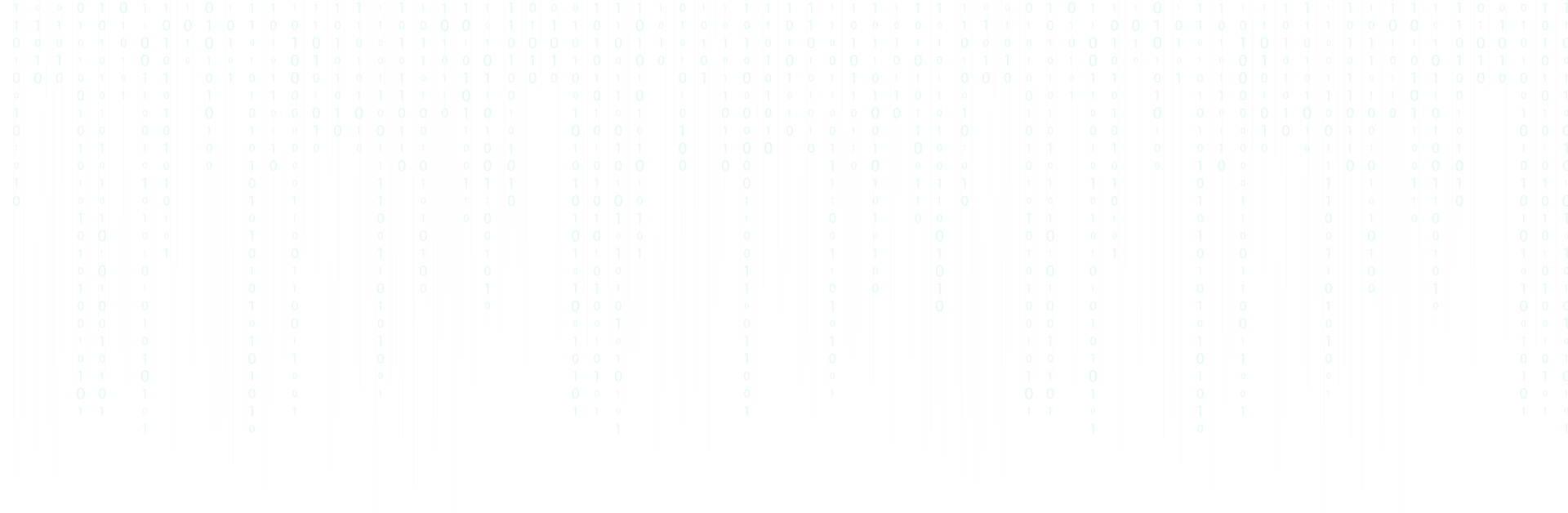 Building Global Digital {Platforms}