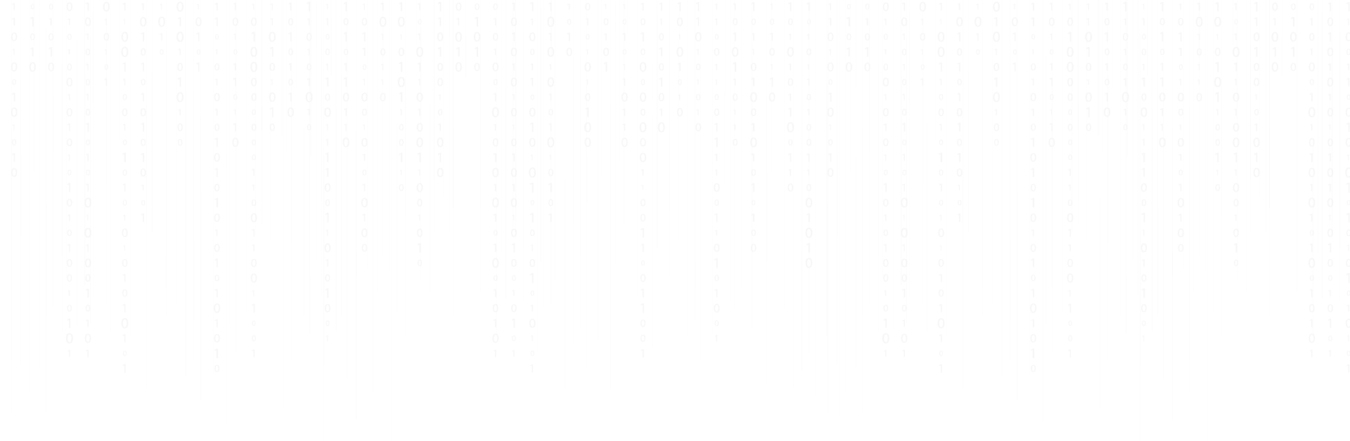 Building Global Digital {Platforms}